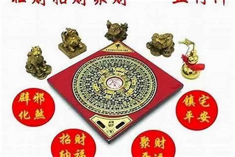 猫总踩到自己屎怎么办