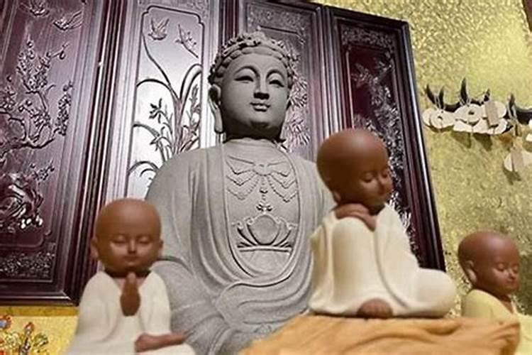 衡阳适合养什么花,市花和市树是什么