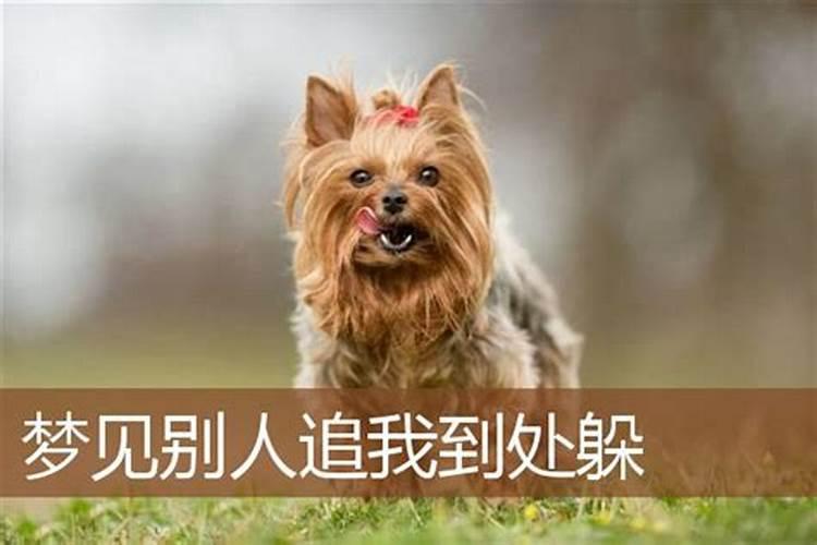 三两六女命何时走大运