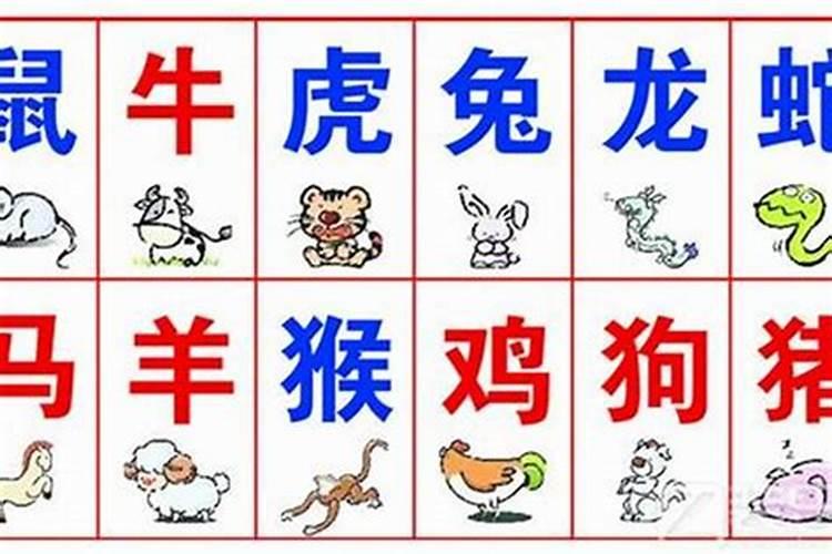 天生相冲,在一起运势会变差的生肖配对？