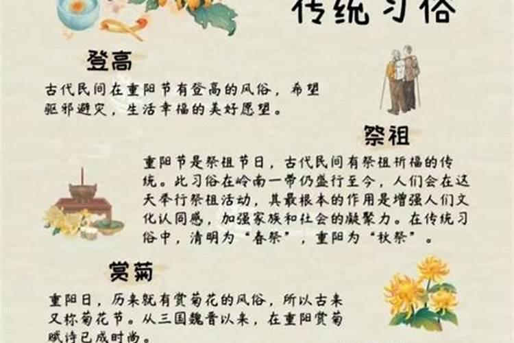 2025年属马的多大