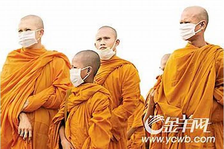 属蛇人生在几月命运最好