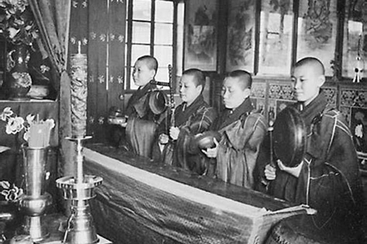 明年兔人运势怎么样,农历生日看一生命运
