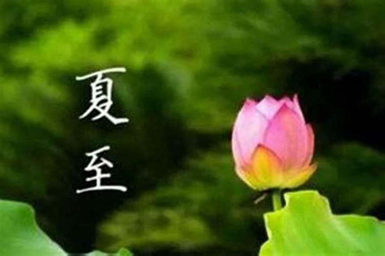 属相马和牛婚配合适吗 属马属牛结婚好吗