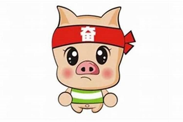 2025猪犯太岁佩戴什么