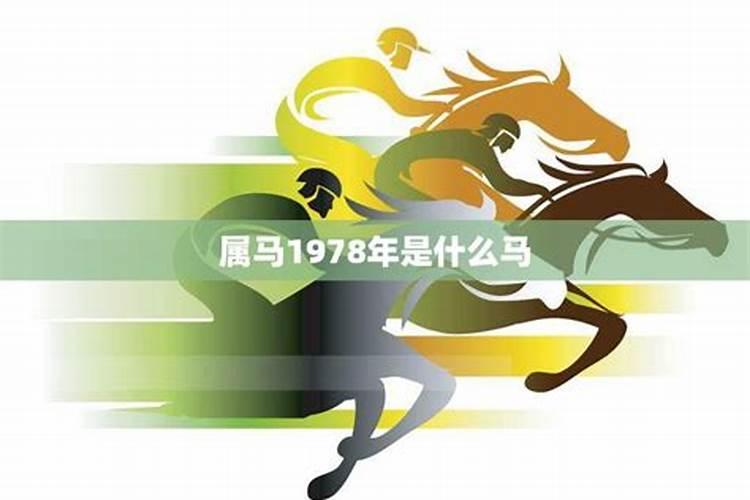 1978年属马的命运如何
