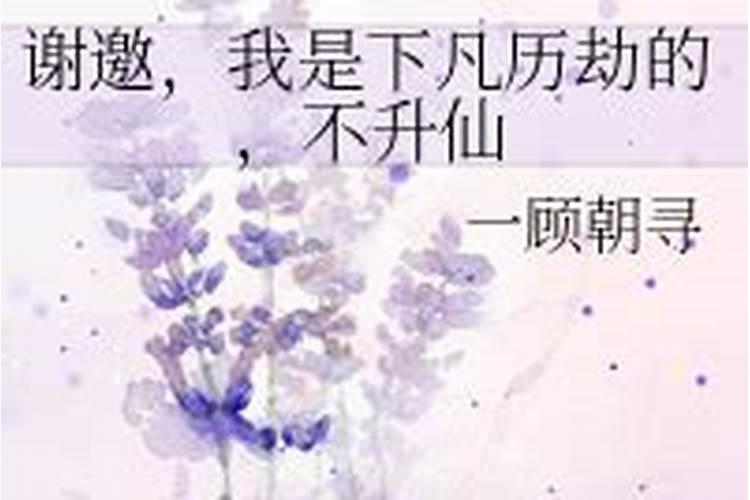 饭店放什么招财最好