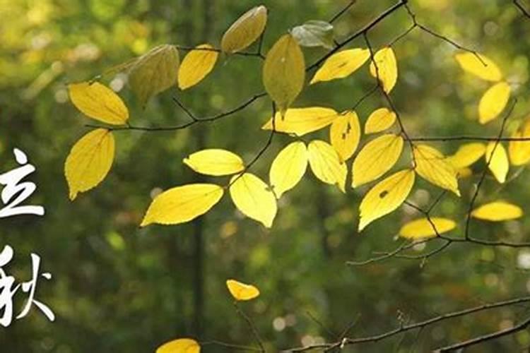秋天分为早秋、中秋、晚秋,这三个时间分别是什么时候？