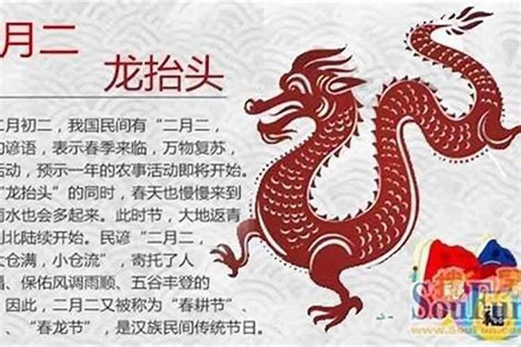 生肖牛1985年2025年运势如何 生肖牛1985年2025年全年运势