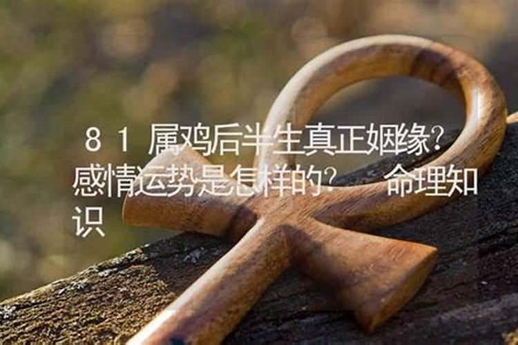 1981年属鸡女2025年运势及运程