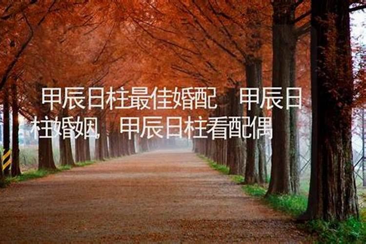 除夕是不是指农历正月初一这一天