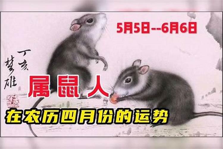 72年属鼠在2024年每月运势