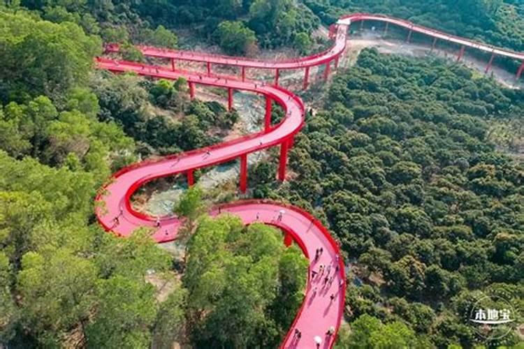 深圳中秋节去哪里好玩 深圳十大中秋旅游赏月好去处推荐