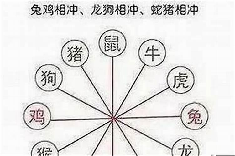 最佳夫妻属相婚配表