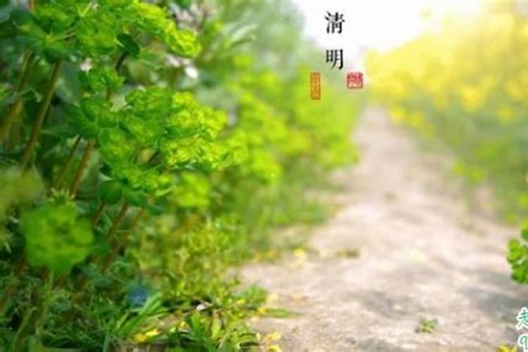 配偶星在时柱,而月柱的藏干里也有配偶星,这是什么意思？