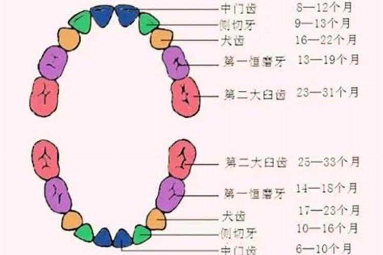 梦见掉牙化解方法