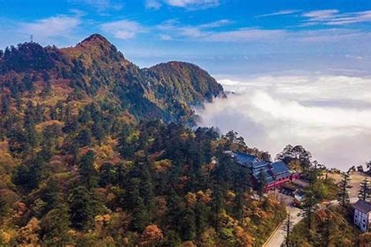 清明扫墓要点几支香烛