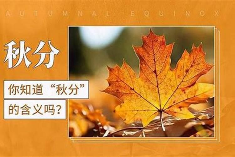 秋分和立秋的区别