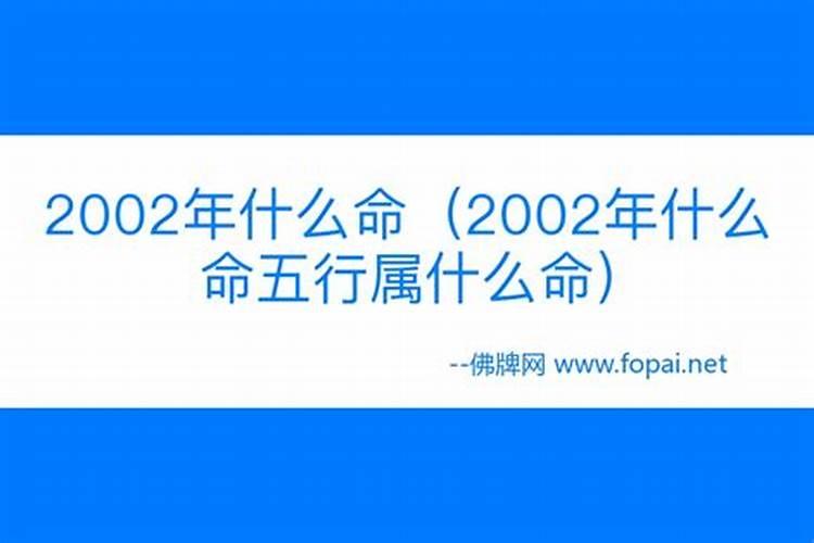 2002年到底是水命还是木命