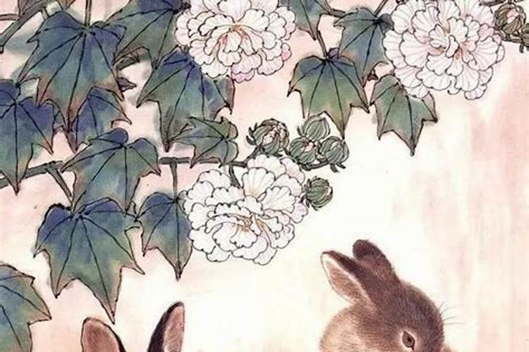 请问1987年5月属兔的今年运势怎么样？会好运吗？爱情会一路顺风吗？百度...