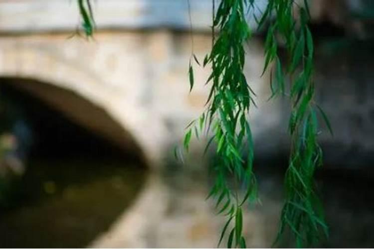 “正月新春舞龙灯,二月郊外放风筝”出自哪首诗？并写出原诗