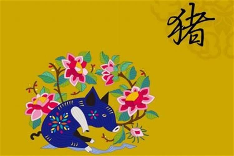 95年属猪人未来三年运势