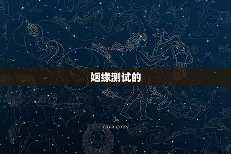 属羊的和属牛的能过一辈子吗？
