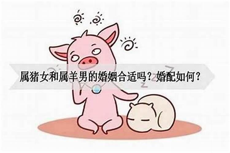 在线八字合婚:女属猪男属马的夫妻长久吗