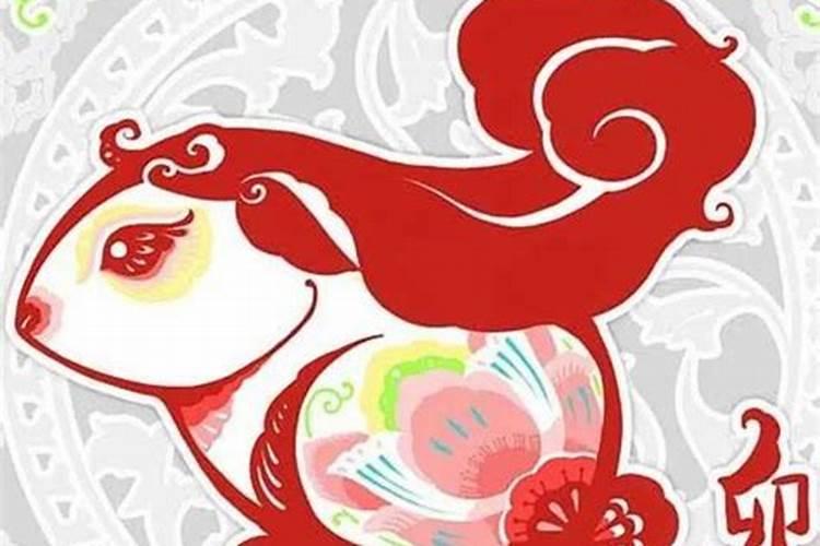 65年属蛇的今年运气怎么样