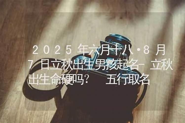立秋生的男孩适合起什么名