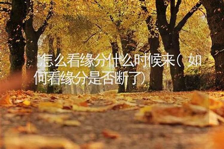 八字格局层次高低详解