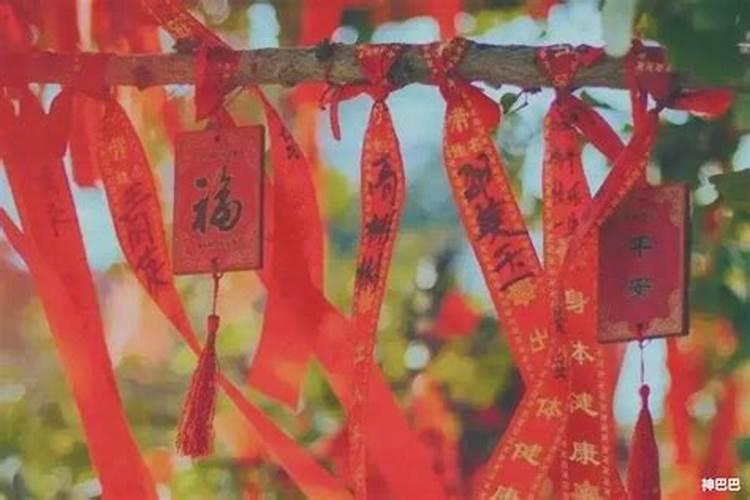 属牛的人遇到属蛇合不合 牛蛇婚配合适吗