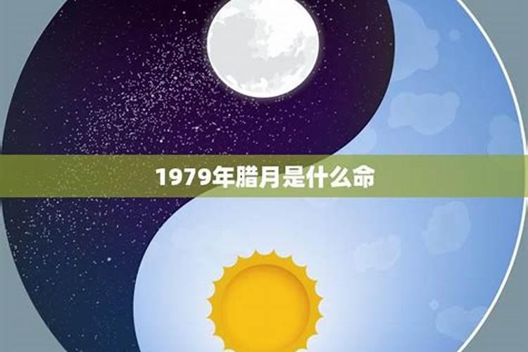 01年属蛇的是什么命