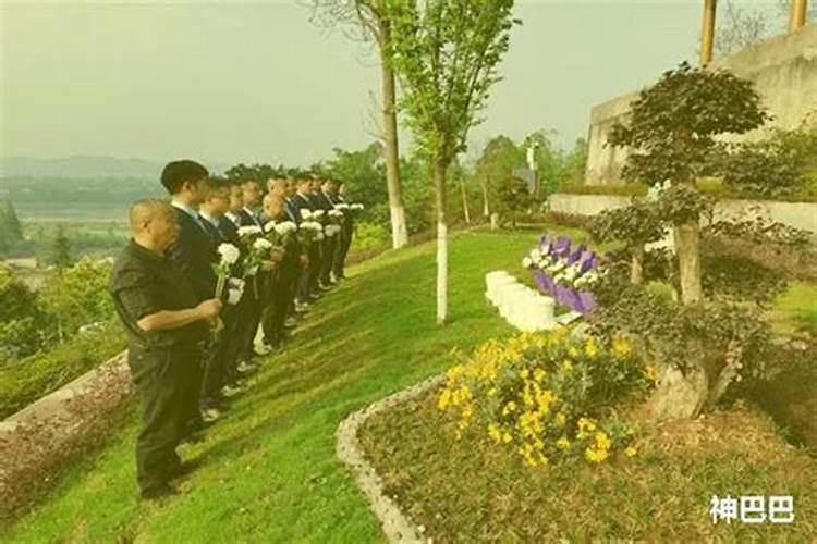 梦见大海里有死尸的预兆