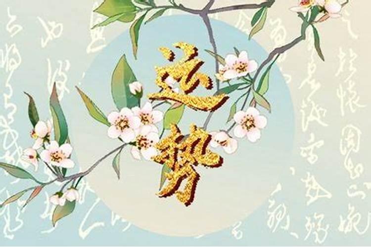 阳历1975年5月3号的生辰八字运势