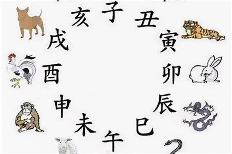 流产手术后多久来例假