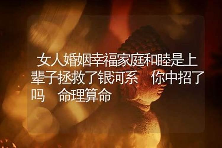 男虎女羊的属相合不合