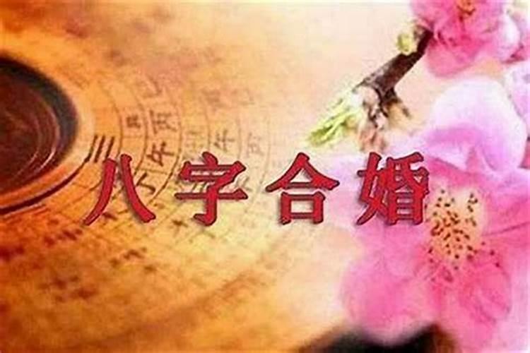 八字合婚会看什么问题