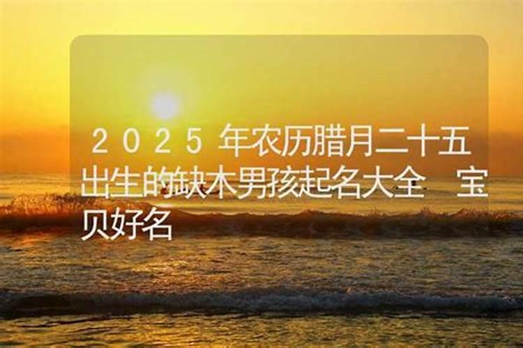 25年添丁生子的属相