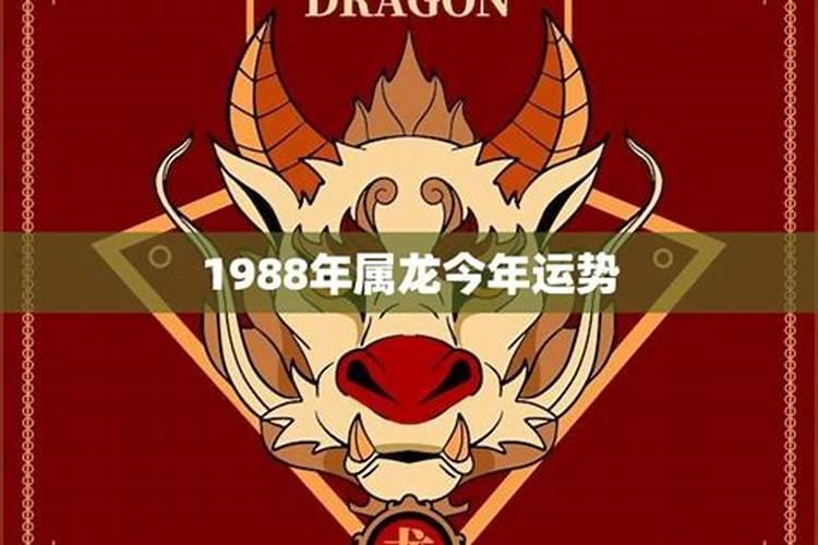 生肖龙1988年2025年运势如何 生肖龙1988年2025年全年运势