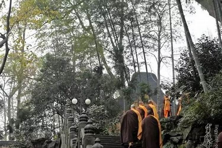 十二月二十二日是什么日子