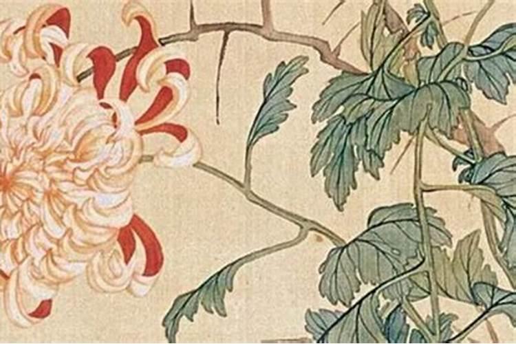 石家庄现在让卖炮吗