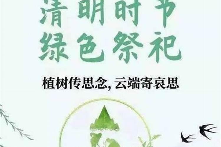 19年春晚主持人谁的年纪最大？