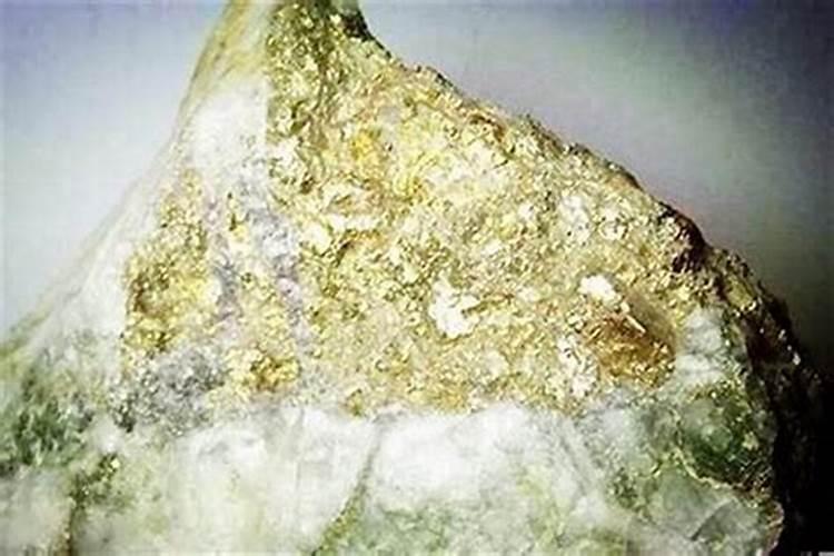 海中金命是什么意思