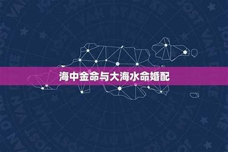 海中金命是什么意思,海中金命忌讳什么