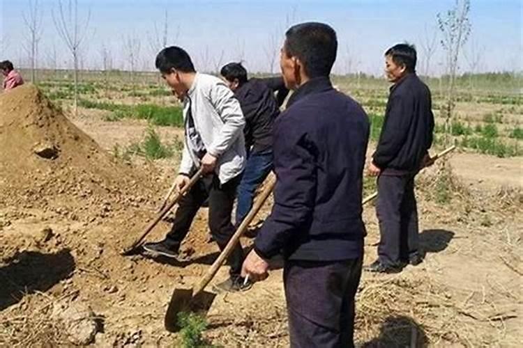 属鸡人财运和命运怎么样 属鸡的人一生财运怎么样