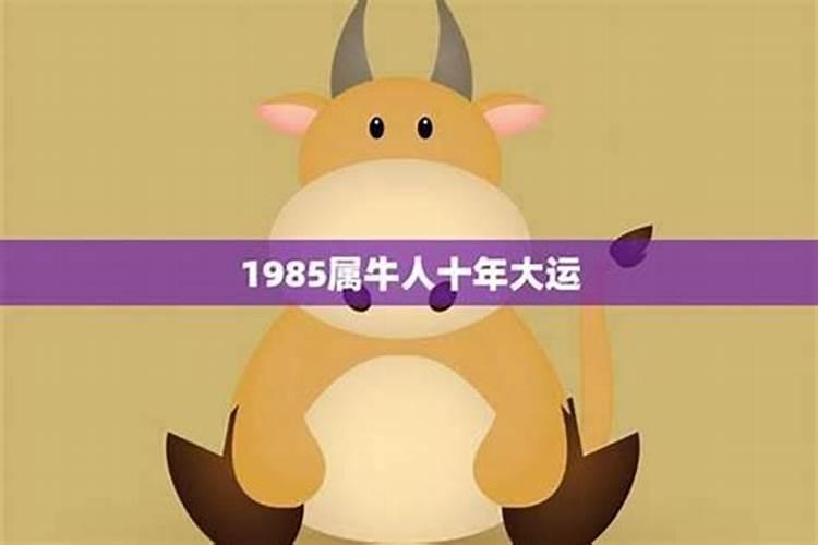 85年属牛未来10年运势 灾难年龄 三大坎？