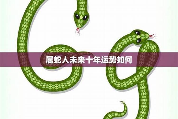 1977年属蛇的人2025年的运势及运程