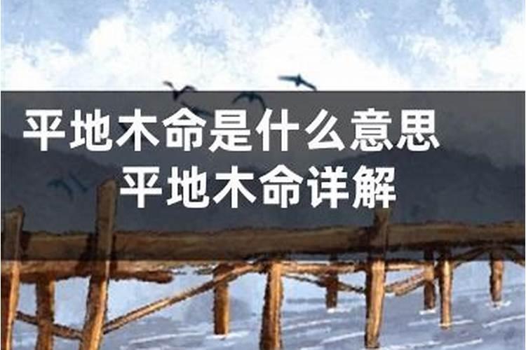 木命是什么意思