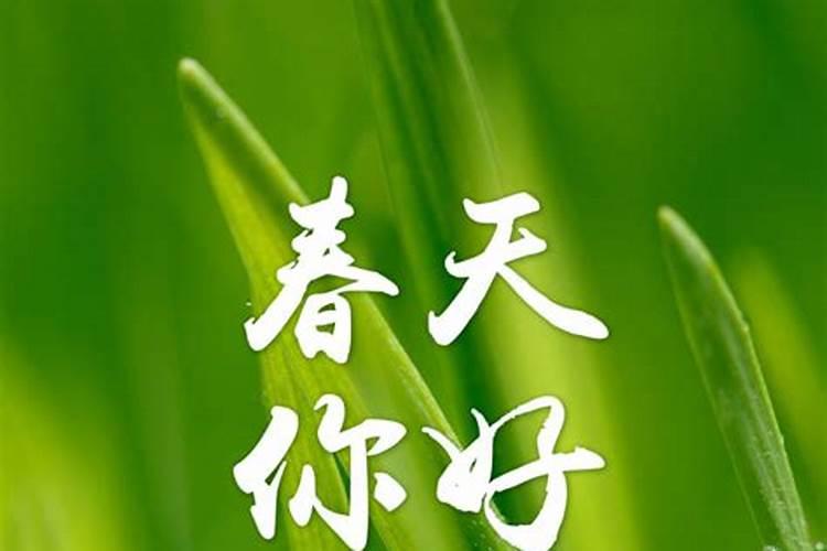 今年什么时候立春2024